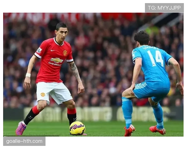 迪马利亚技术特点解析 迪马利亚技术特点解析